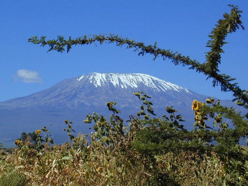 Kilimanjaro Landscape