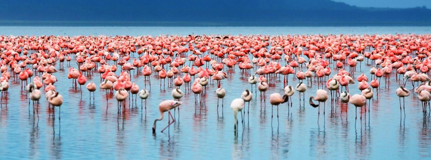 Lake Manyara