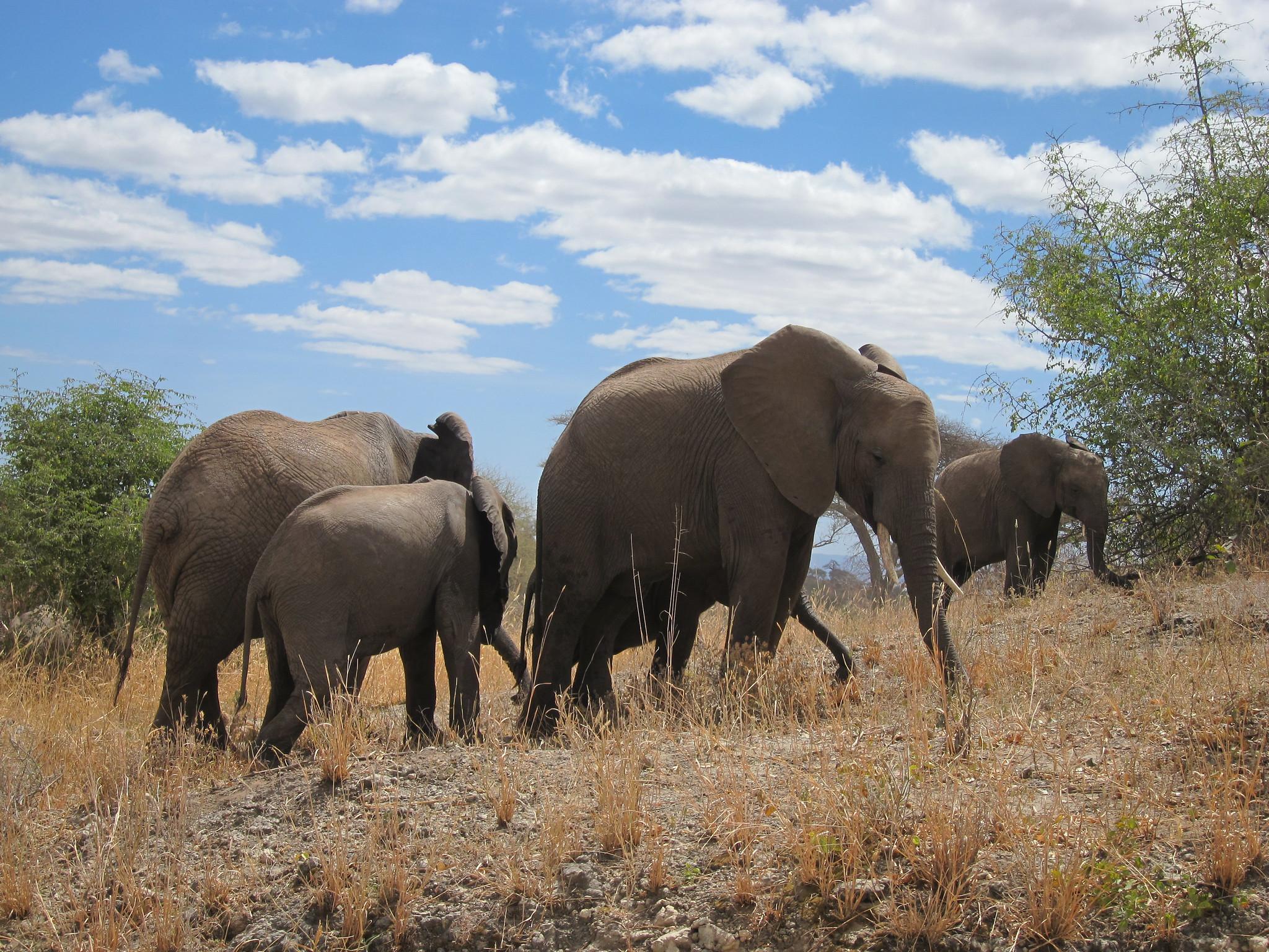 Lake Manyara Park Views