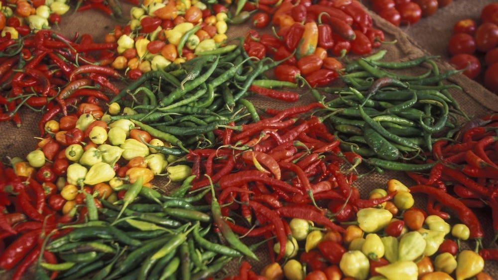 Pemba Culinary Experience
