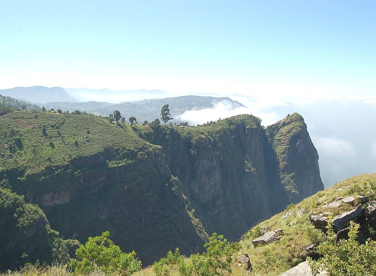 Usambara Mountains