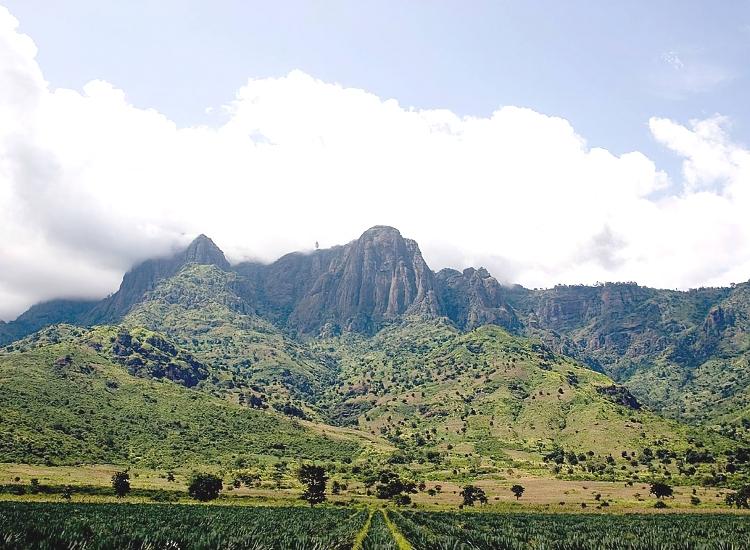 West Usambara Scenic Views