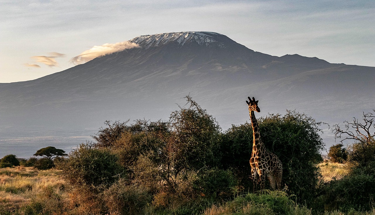 Tanzania Safari Landscape